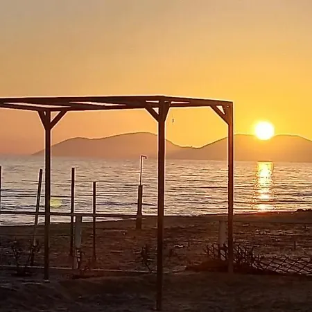 Views On - Old Beach Daire